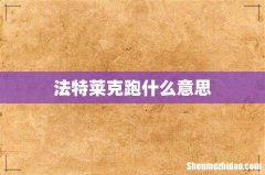 法特莱克跑什么意思