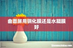 曲面屏用钢化膜还是水凝膜好