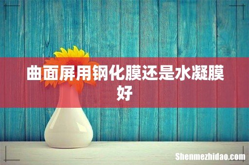 曲面屏用钢化膜还是水凝膜好
