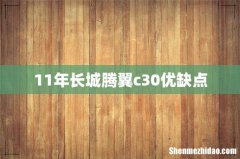 11年长城腾翼c30优缺点