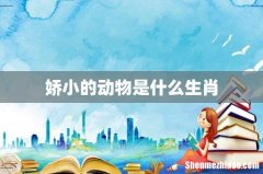 娇小的动物是什么生肖