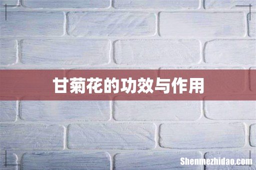 甘菊花的功效与作用
