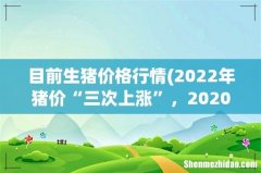 2022年猪价“三次上涨”，2020年的猪价行情是否会重演？ 目前生猪价格行情