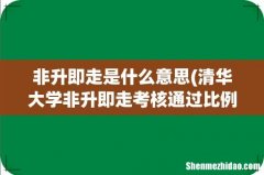 清华大学非升即走考核通过比例 非升即走是什么意思