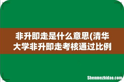 清华大学非升即走考核通过比例 非升即走是什么意思