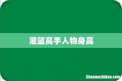 灌篮高手人物身高