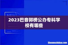 2023巴音郭楞公办专科学校有哪些