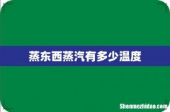 蒸东西蒸汽有多少温度