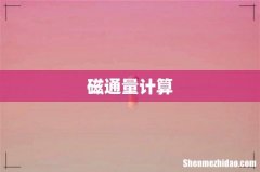 磁通量计算