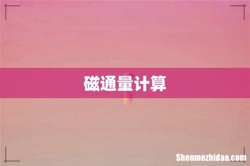 磁通量计算