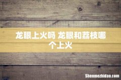 龙眼上火吗 龙眼和荔枝哪个上火