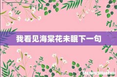我看见海棠花未眠下一句