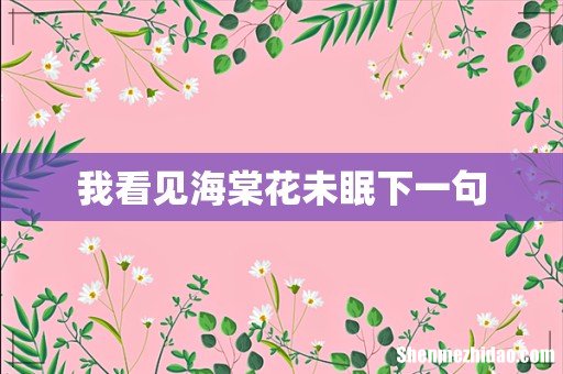 我看见海棠花未眠下一句