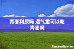 青枣利尿吗 湿气重可以吃青枣吗