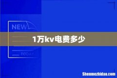 1万kv电费多少