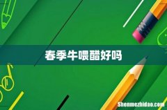 春季牛喂醋好吗