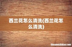 西兰花怎么清洗 西兰花怎么清洗