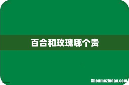 百合和玫瑰哪个贵