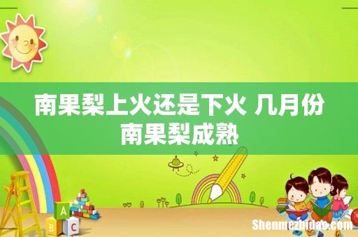 南果梨上火还是下火 几月份南果梨成熟