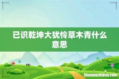 已识乾坤大犹怜草木青什么意思