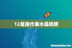 12星座代表水晶翅膀