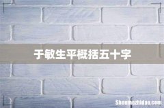 于敏生平概括五十字