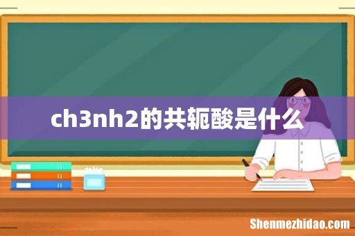 ch3nh2的共轭酸是什么