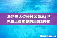 世界三大傻狗说的是哪3种狗狗？ 马路三大傻是什么意思