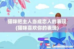 猫咪喜欢你的表现 猫咪把主人当成恋人的表现