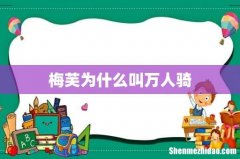 梅芙为什么叫万人骑
