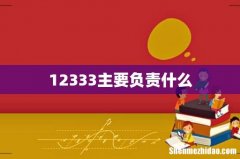 12333主要负责什么