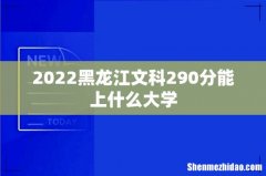 2022黑龙江文科290分能上什么大学