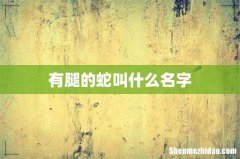 有腿的蛇叫什么名字