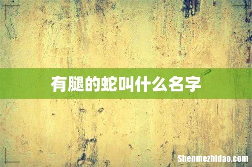 有腿的蛇叫什么名字