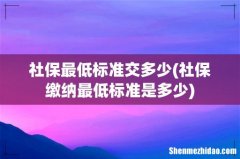 社保缴纳最低标准是多少 社保最低标准交多少