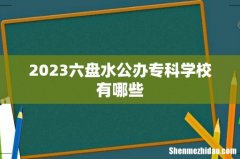 2023六盘水公办专科学校有哪些