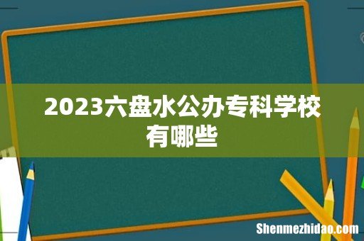 2023六盘水公办专科学校有哪些