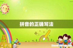 拼音的正确写法