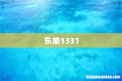 东单1331