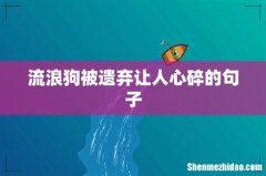 流浪狗被遗弃让人心碎的句子