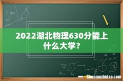 2022湖北物理630分能上什么大学？