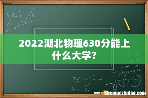 2022湖北物理630分能上什么大学?