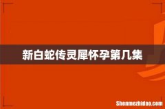 新白蛇传灵犀怀孕第几集