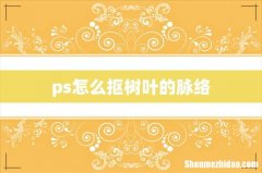 ps怎么抠树叶的脉络