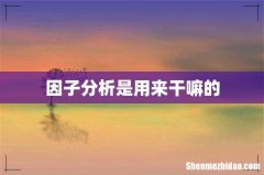 因子分析是用来干嘛的