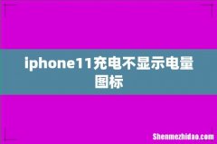 iphone11充电不显示电量图标