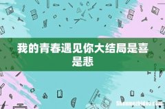我的青春遇见你大结局是喜是悲