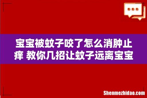 宝宝被蚊子咬了怎么消肿止痒 教你几招让蚊子远离宝宝