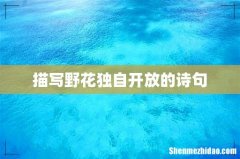 描写野花独自开放的诗句