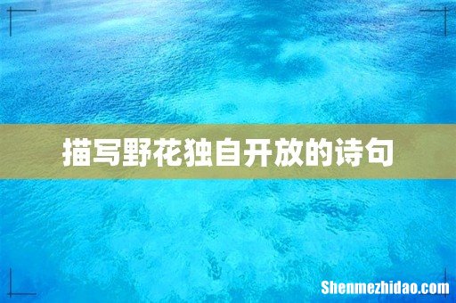 描写野花独自开放的诗句